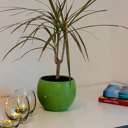 Apartment Ante *